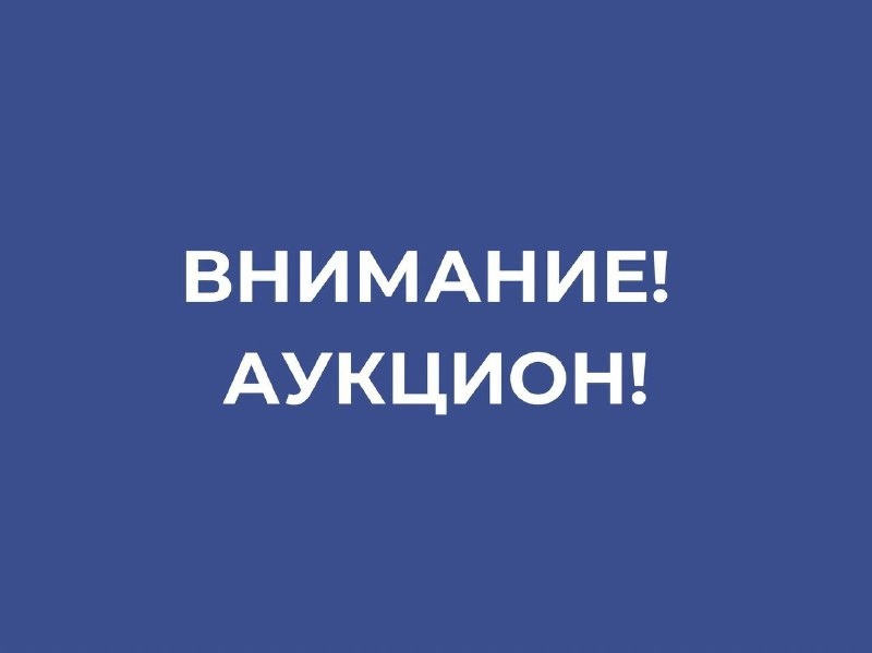 О проведении аукционов в электронной форме на право заключения договоров на установку и эксплуатацию рекламных конструкций на недвижимом имуществе, находящемся в казне муниципального образования «Город Псков».