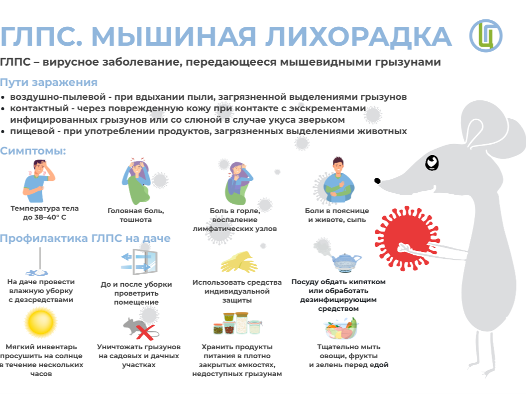 Псковичам напомнили о профилактике геморрагической лихорадки с почечным синдромом.