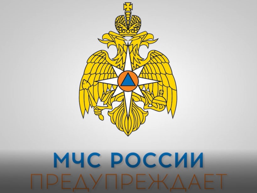 О правилах безопасности во время грозы напомнили псковичам.