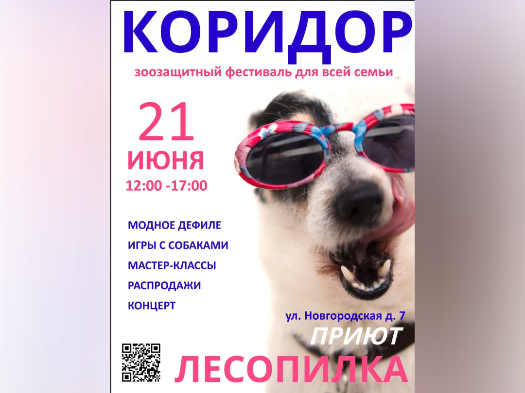 III Семейный зоозащитный фестиваль «Коридор 2025» состоится в Пскове.