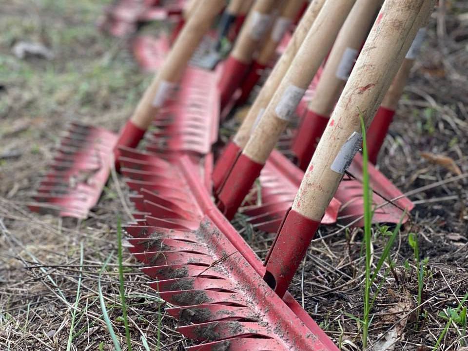 С 1 по 31 октября в Пскове пройдет осенний месячник по уборке города.