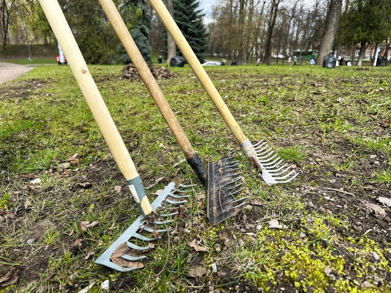 Объявлен осенний месячник по благоустройству и уборке города Пскова.