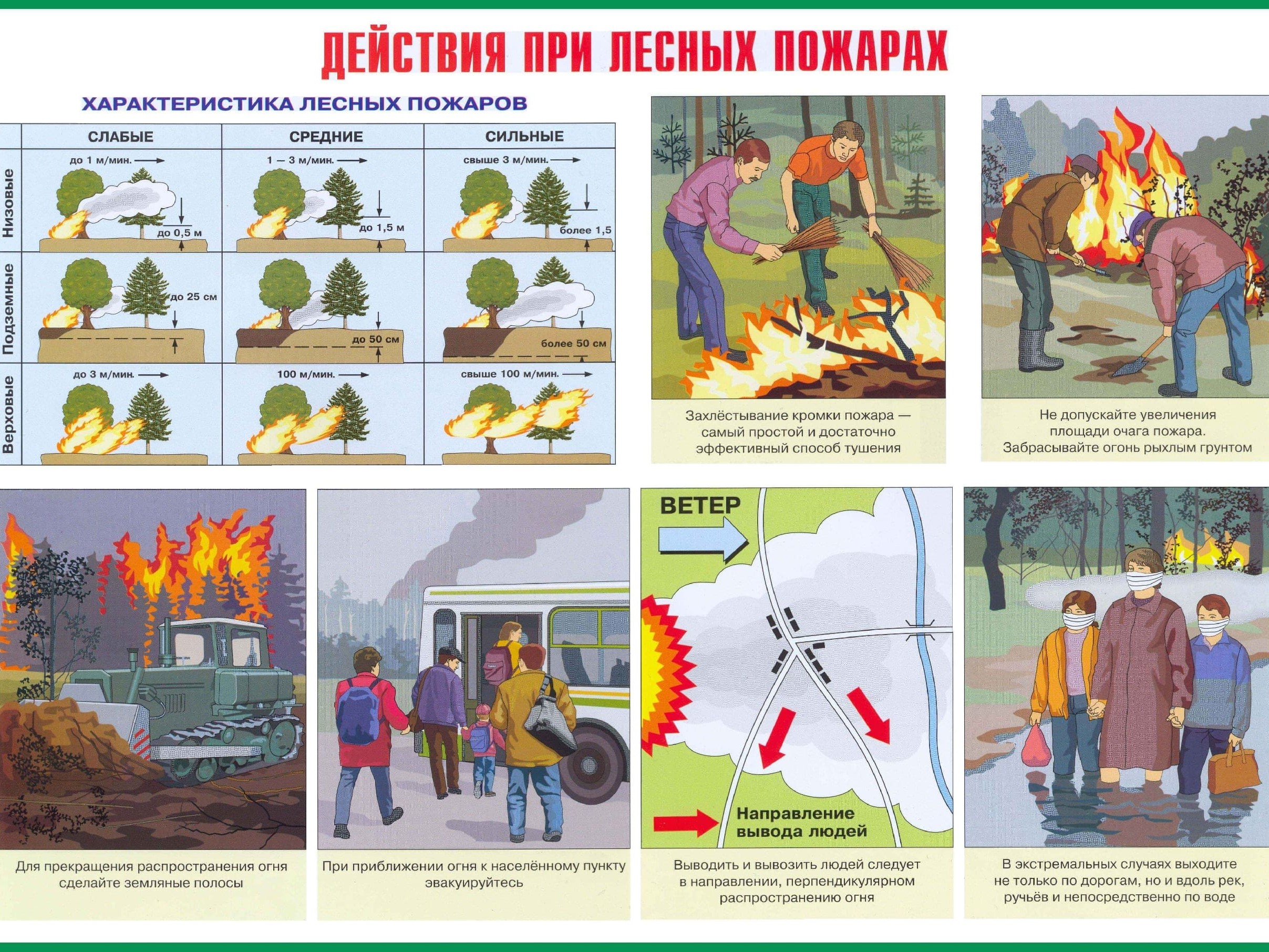 Псковичам напоминают о мерах безопасности при лесных пожарах.