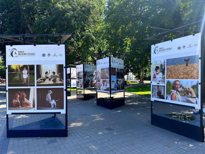 Экспозиция фотографий участников фестиваля «Цвет белой стены» открывается в Пскове.