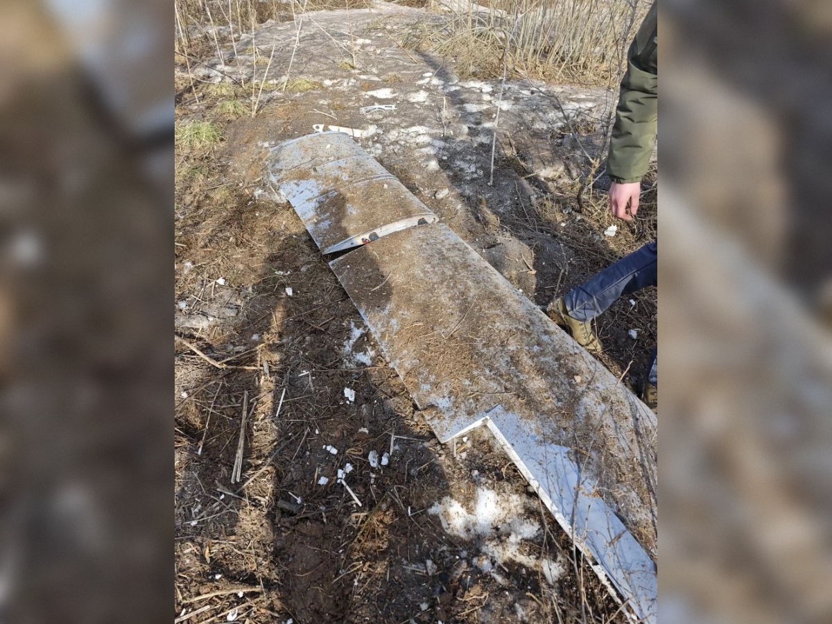 Украинский БПЛА с действующей боевой частью ликвидировали в Псковской области.